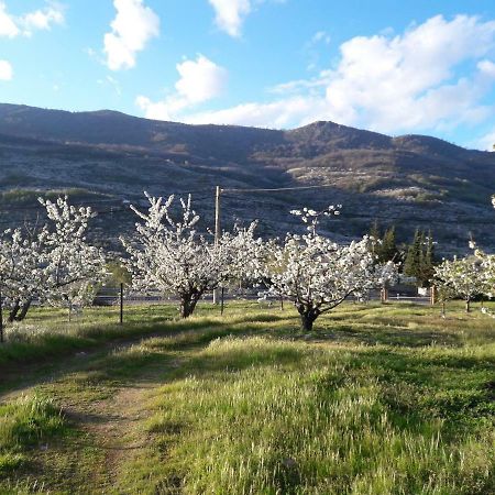 La Casita Del Jerte Leilighet Cabezuela Del Valle Eksteriør bilde