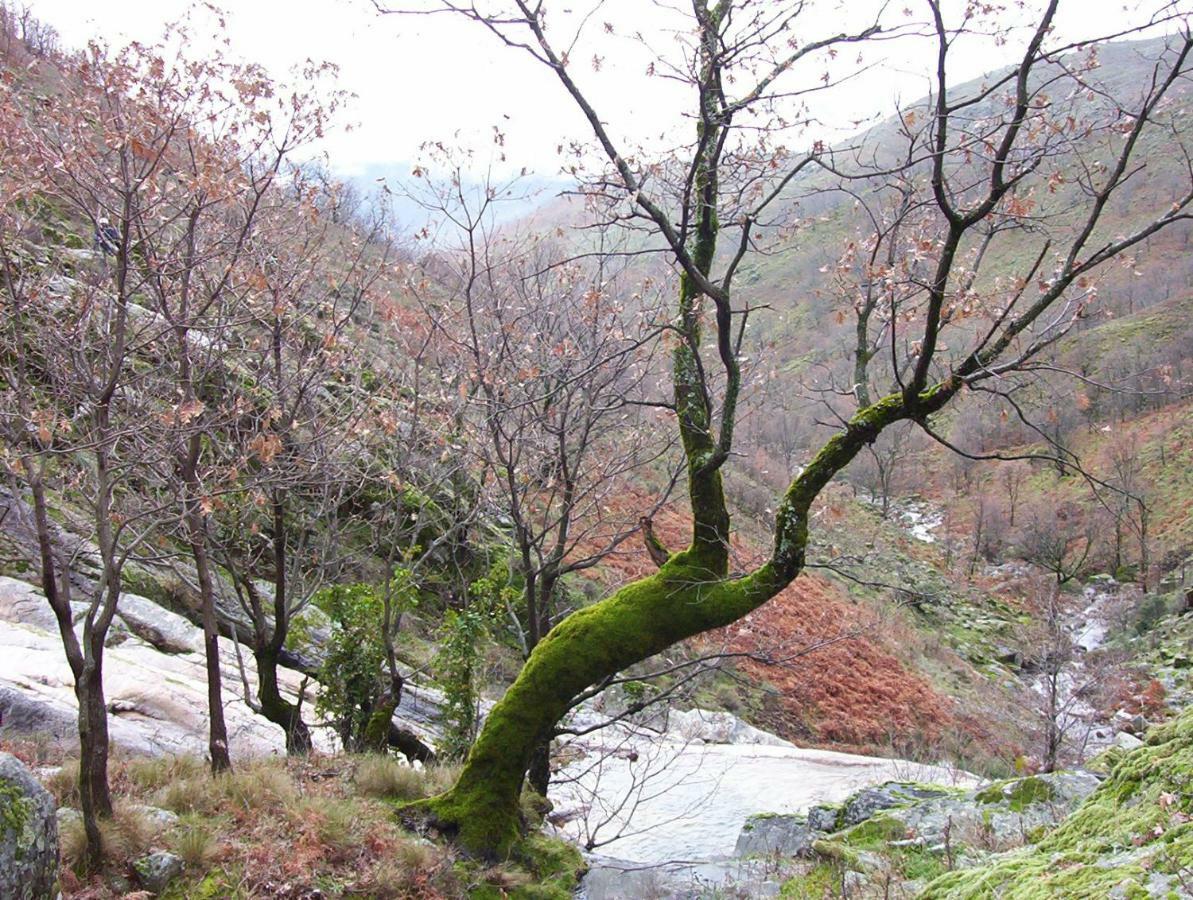 La Casita Del Jerte Leilighet Cabezuela Del Valle Eksteriør bilde