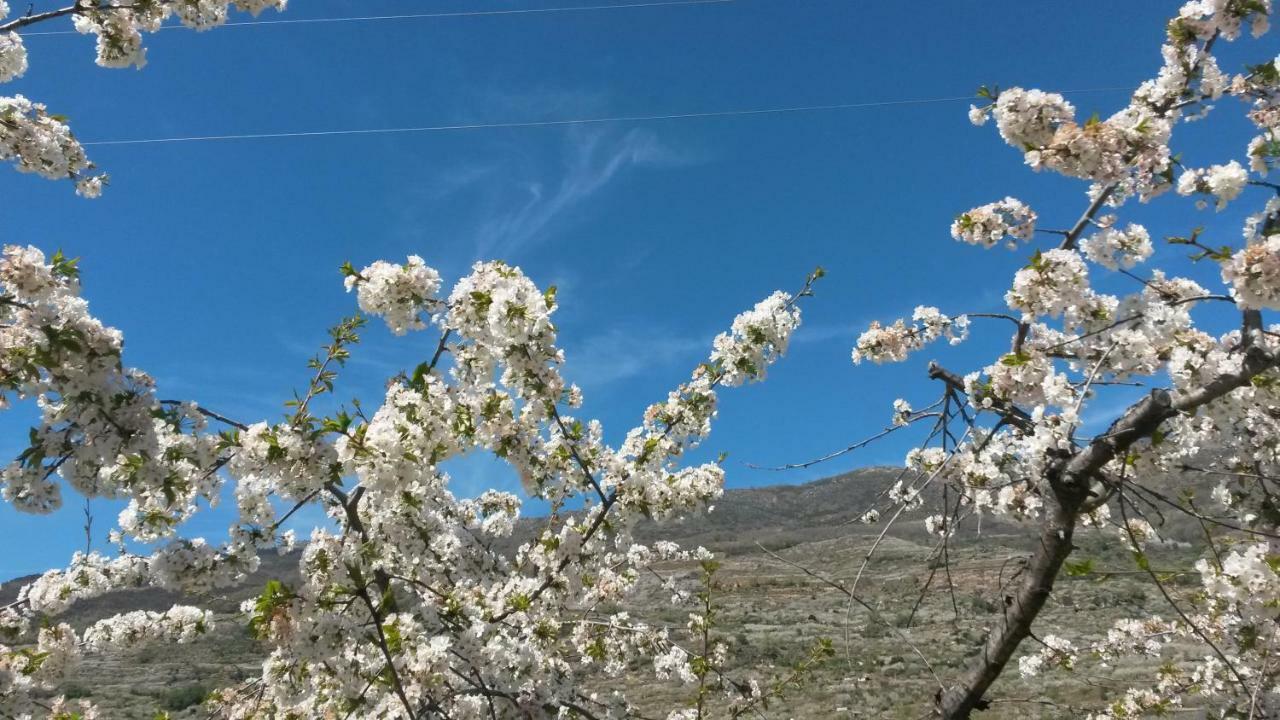 La Casita Del Jerte Leilighet Cabezuela Del Valle Eksteriør bilde