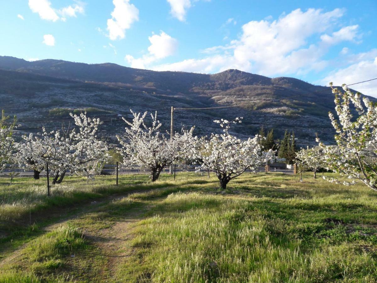 La Casita Del Jerte Leilighet Cabezuela Del Valle Eksteriør bilde